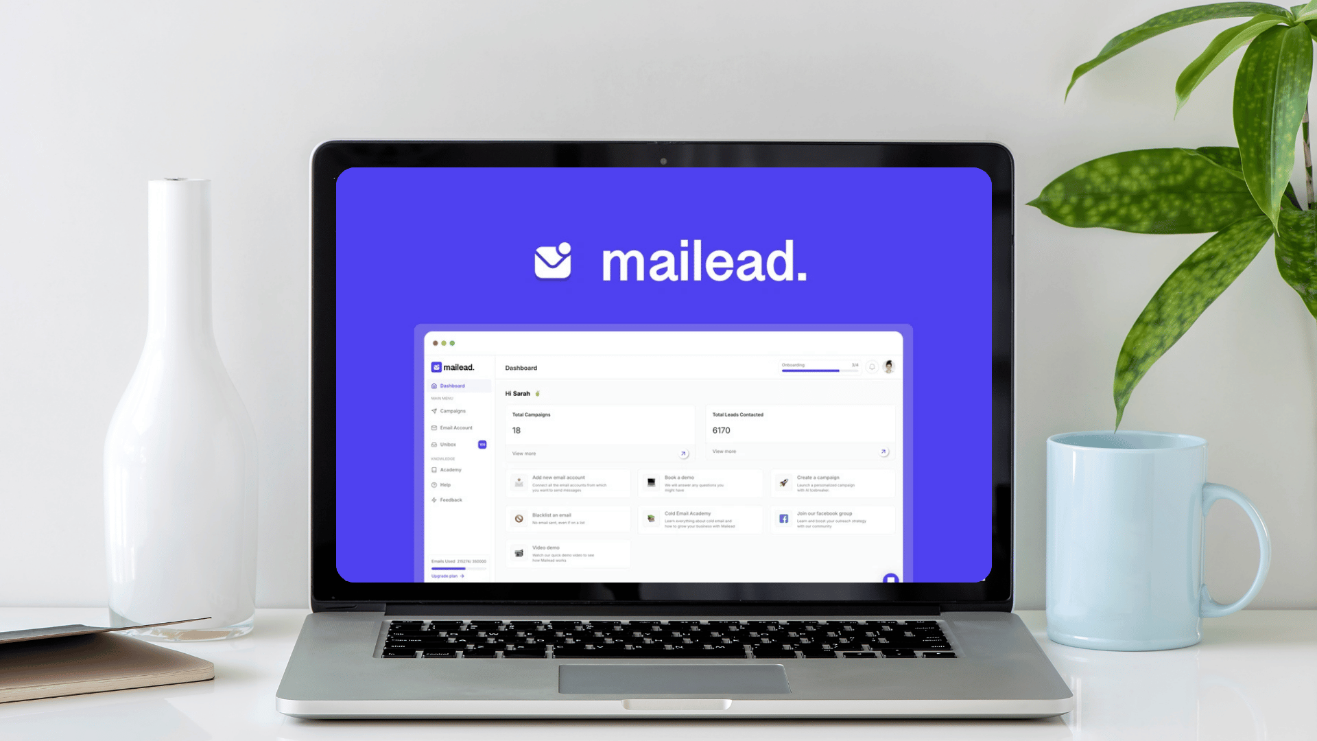 Mailead Review